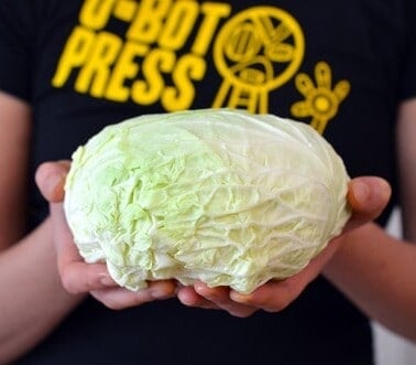 Someone holding a green napa cabbage.