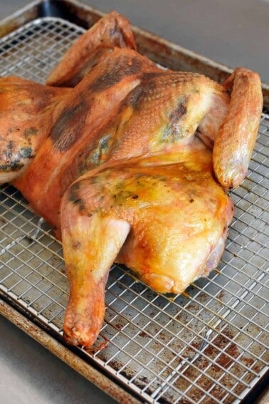 A side view of a spatchcocked chicken with herb butter fresh out of the oven