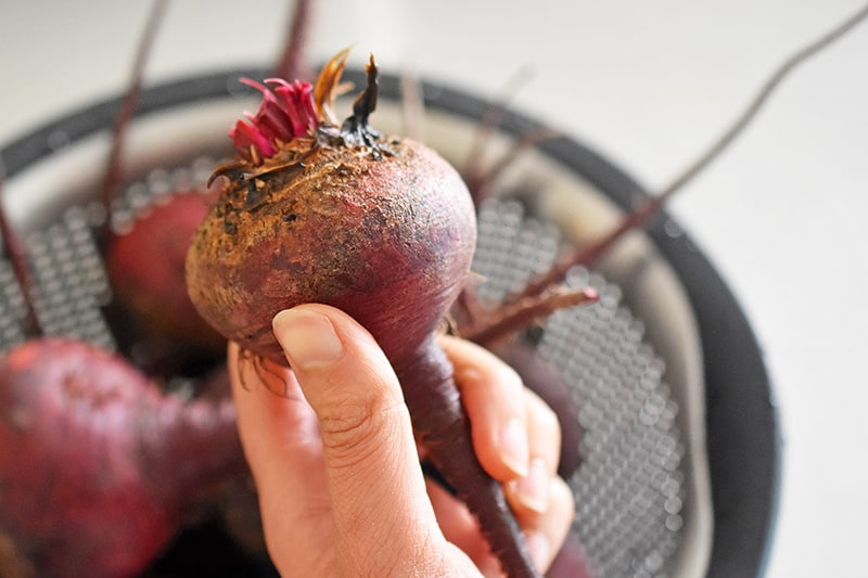 Someone holding a raw beet.