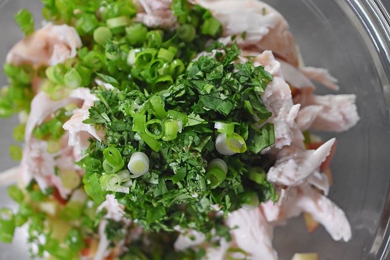 Cilantro and scallions are added to a bowl of chicken and apples.