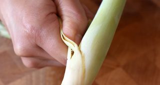 Peeling the tough outer layers of a lemongrass stalk to prepare it for recipes.