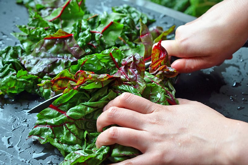 Chopping the leaves of swiss chard for a swiss chard salad.
