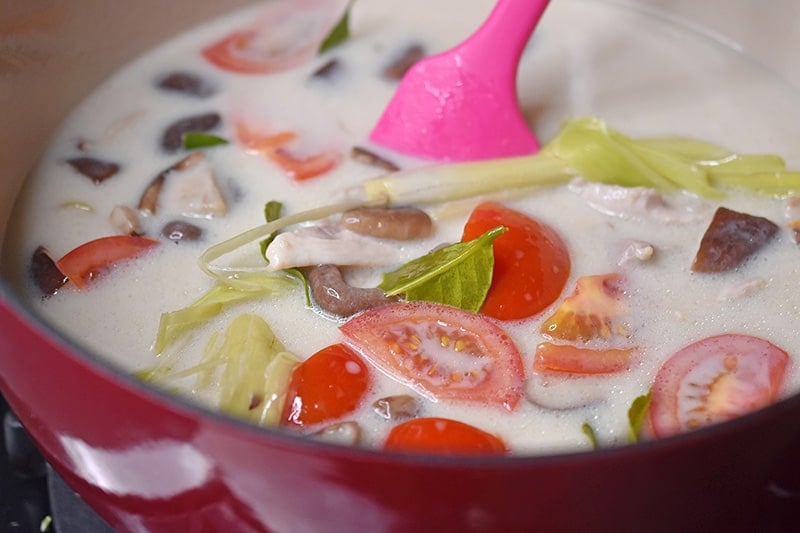 A close-up of a pot healthy homemade Tom Kha Gai where the tomatoes are broken down