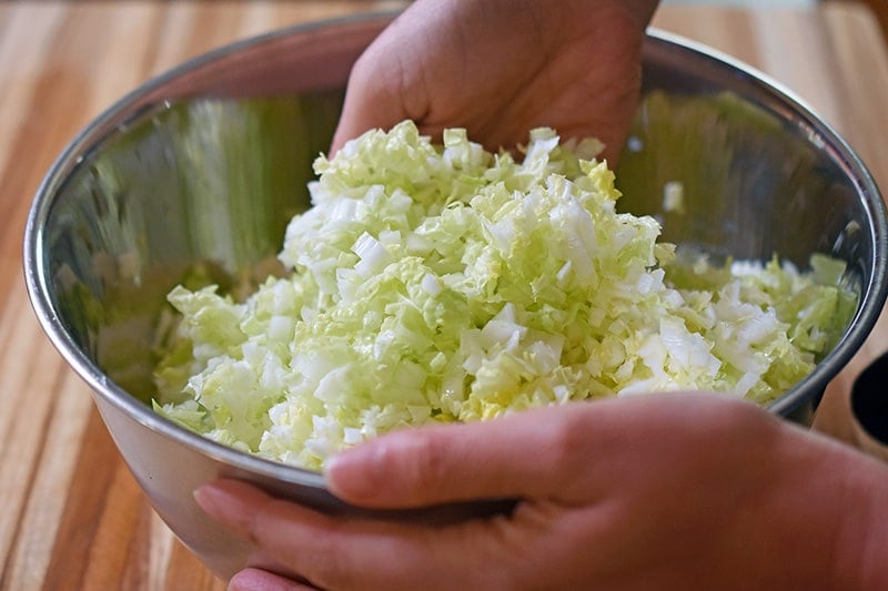 The finely minced napa cabbage and kosher salt are tossed by hand in a large metal bowl.
