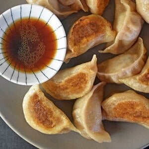 These homemade grain-free, nut-free, dairy-free, egg-free, gluten-free Paleo Pot Stickers taste authentic and will even satisfy your dumpling loving non-paleo pals!