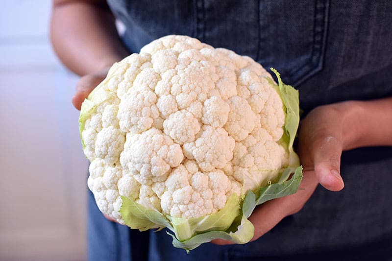 Someone holding a head of cauliflower that is about to be made into Tandoori Whole Roasted Cauliflower.