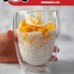 A side view of a cup filled with mango sago, a coconut tapioca pudding with fresh mango cubes on top. There is a red banner that says paleo, vegan, dairy-free, and gluten-free.