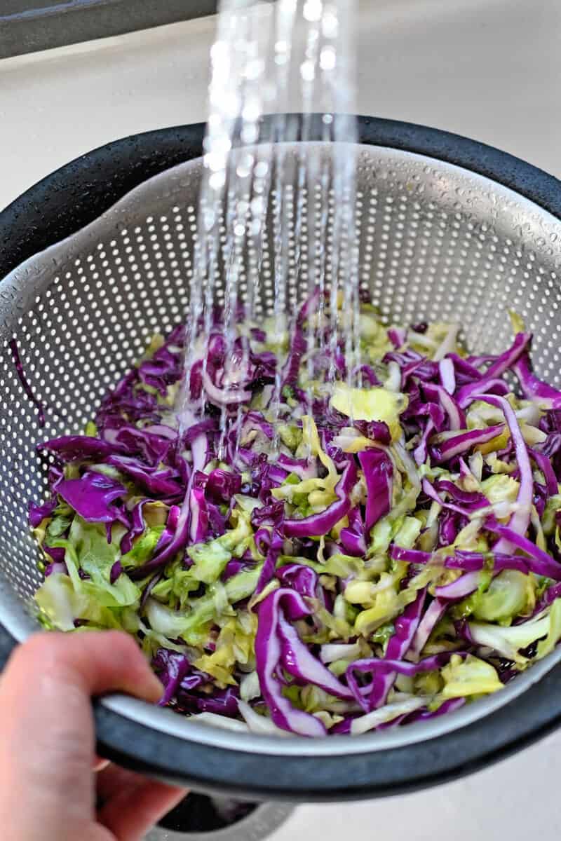 Rinsing a colander filled with salted and shredded red and green cabbage under running water.