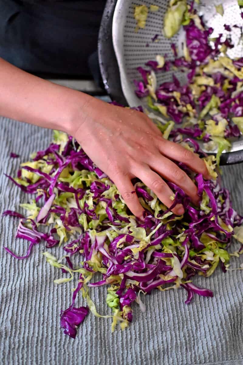 Transferring salted and rinsed cabbage shreds to a clean kitchen towel.