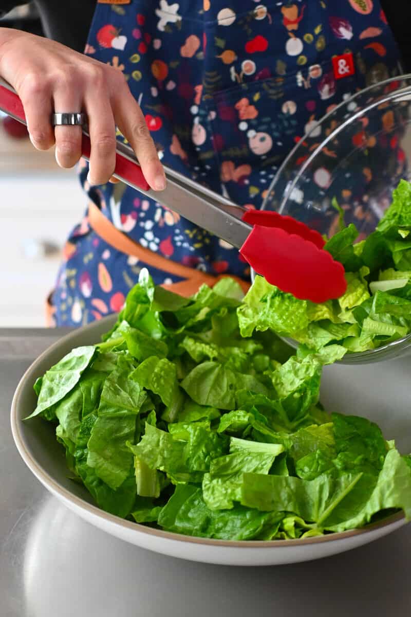 Using red tongs to place chopped romaine lettuce in a shallow salad serving bowl.