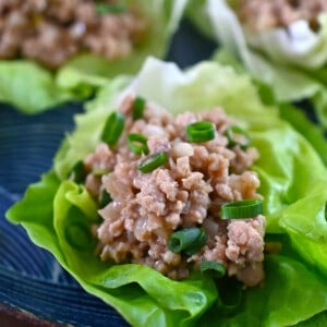 A closeup of a paleo and Whole30 chicken lettuce wrap.