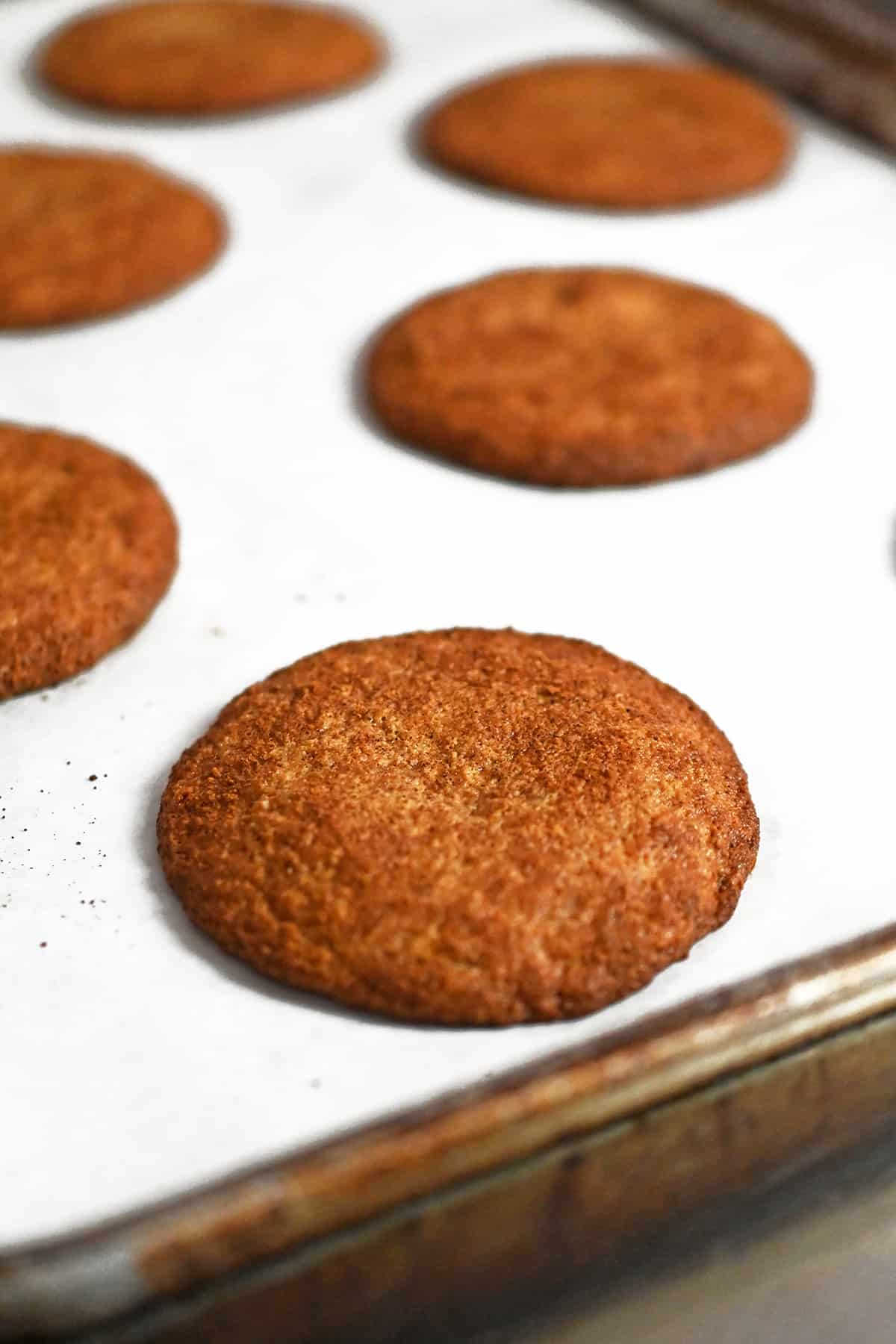 A close up of paleo and gluten free snickerdoodle cookies freshly baked on a rimmed baking sheet.